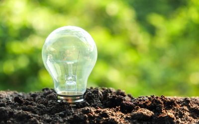 Why Berg Mill Goes Green