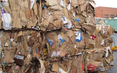 US Containerboard Market: Surprising Stats in December