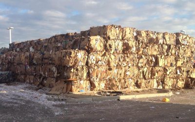 Chinese Recycled Container Boards: Rising Prices from Demand