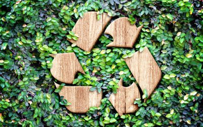 What Does 2017 Have in Store for Sustainability and Recycling?