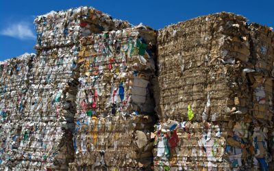 Transforming Waste into Business Assets