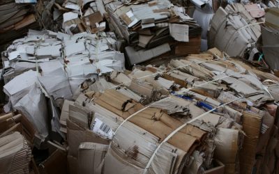 Board Mills in China Stop Making Purchases Causing a Plunge in RCP Prices