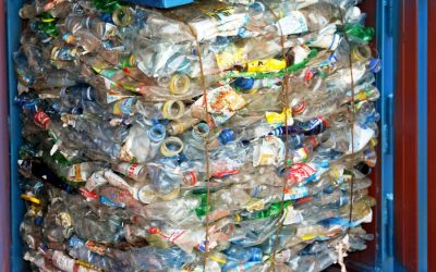 The Auctioning of Plastic Scrap in Hong Kong