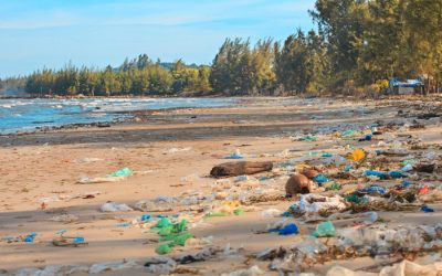 California HDPE plastic manufacturer profits through recycling