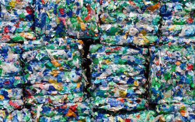 Plastic Bale Audits Benefit Buyers and Suppliers