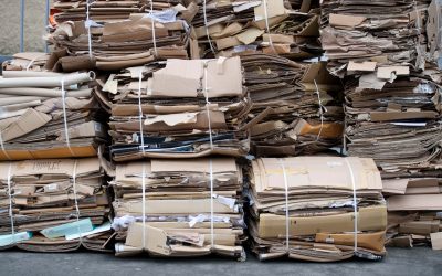 Recycled cardboard prices reach record-breaking highs