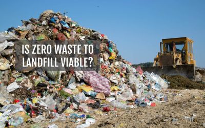 Is zero waste financially viable for US companies?