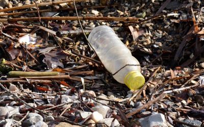 Lost opportunity: 91 percent total plastic produced has gone unrecycled