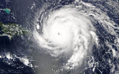 Hurricane Irma Disrupts Pulp And Paper Production