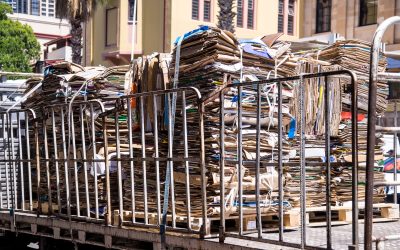 The Case Against China’s Escalating Import Bans
