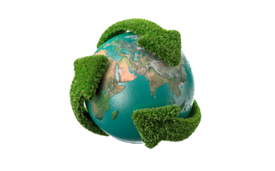 What’s in store for the global recycling economy in the wake of China’s bans?