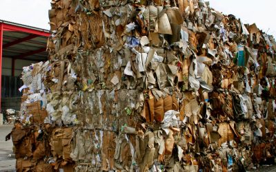 China Eases Contamination Thresholds…Slightly