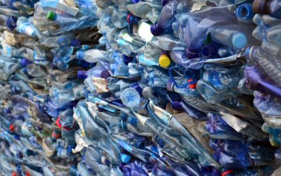 Low-Grade Plastic Scrap: Seeking Alternatives After China Cuts Imports