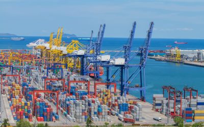 Recycling Industry Implores China To Delay Import Bans