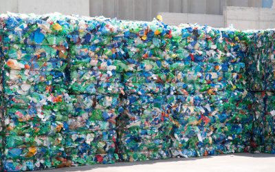 The Recycling Crisis: Can We Point the Finger at China?