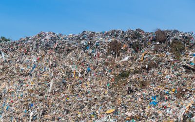 China’s Restrictions Cause Seattle to Dump in Landfills