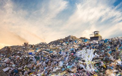 Is Recycling’s Future Headed Toward the Trash?